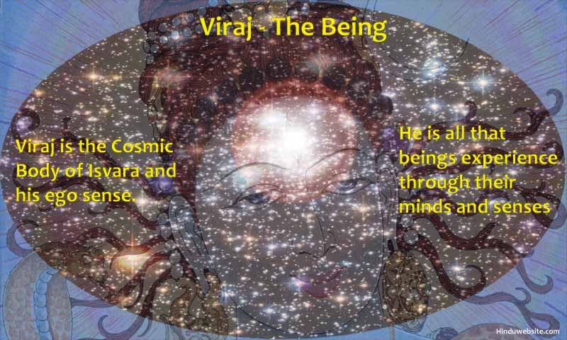 Viraj, the Cosmic Body