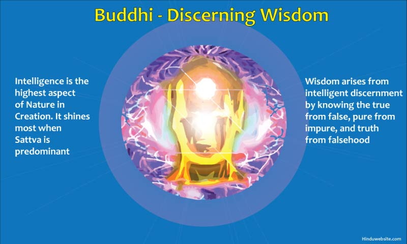 Intelligence, Buddhi