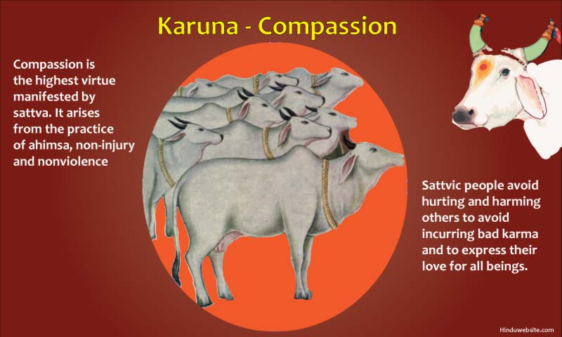 Compassion - Karuna