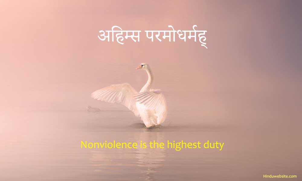 Ahimsa, nonviolence