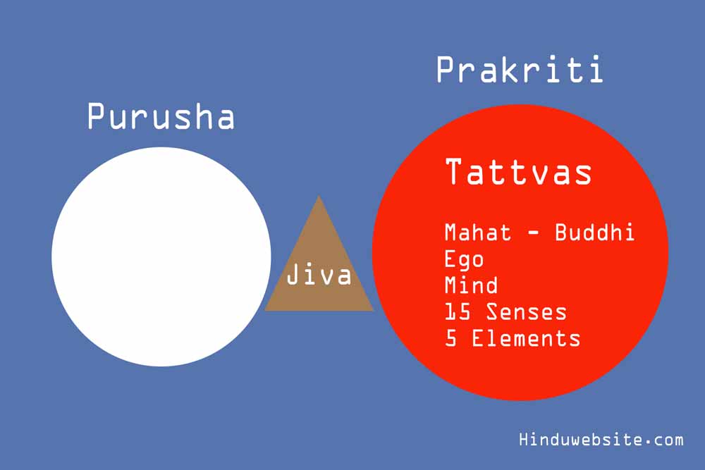 Samkhya Darshana