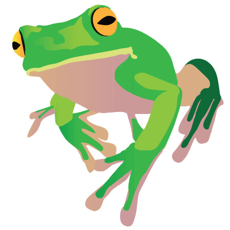Forbidden Frog