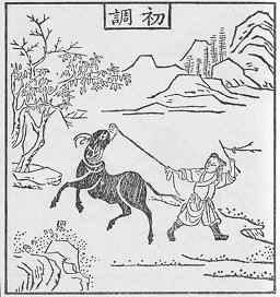 oxherding picture