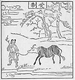oxherding picture