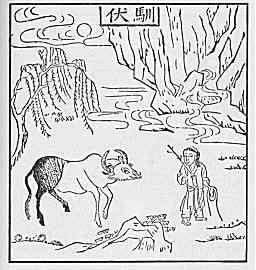 oxherding picture
