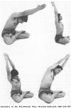Variations of the Parvatasana Pose: forward, backward, right and left.