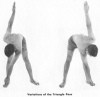 Variations of the Triangle Pose