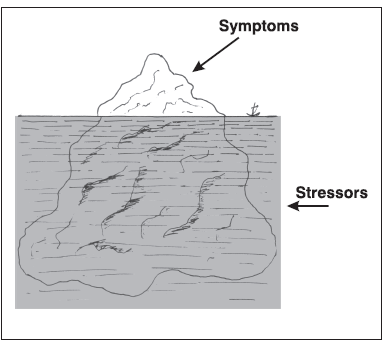 Stress symptoms of just the tip of the iceberg